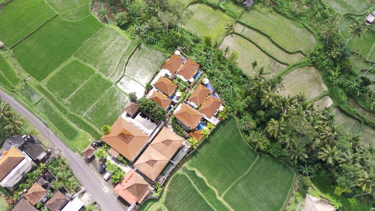 Danakha Villa Ubud Tegallalang  Zewnętrze zdjęcie